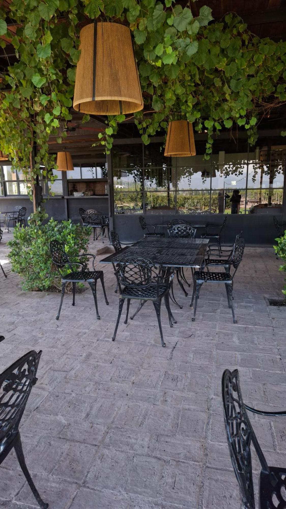 Viamonte Winery Lodge Chacras de Coria Luaran gambar