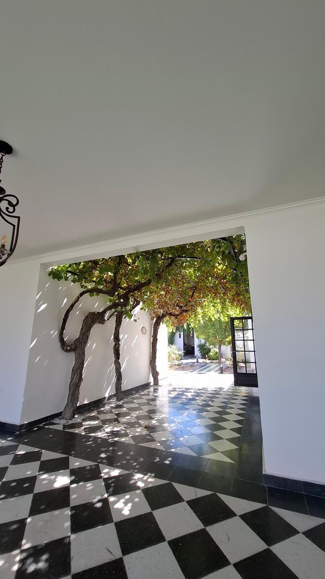 Viamonte Winery Lodge Chacras de Coria Luaran gambar
